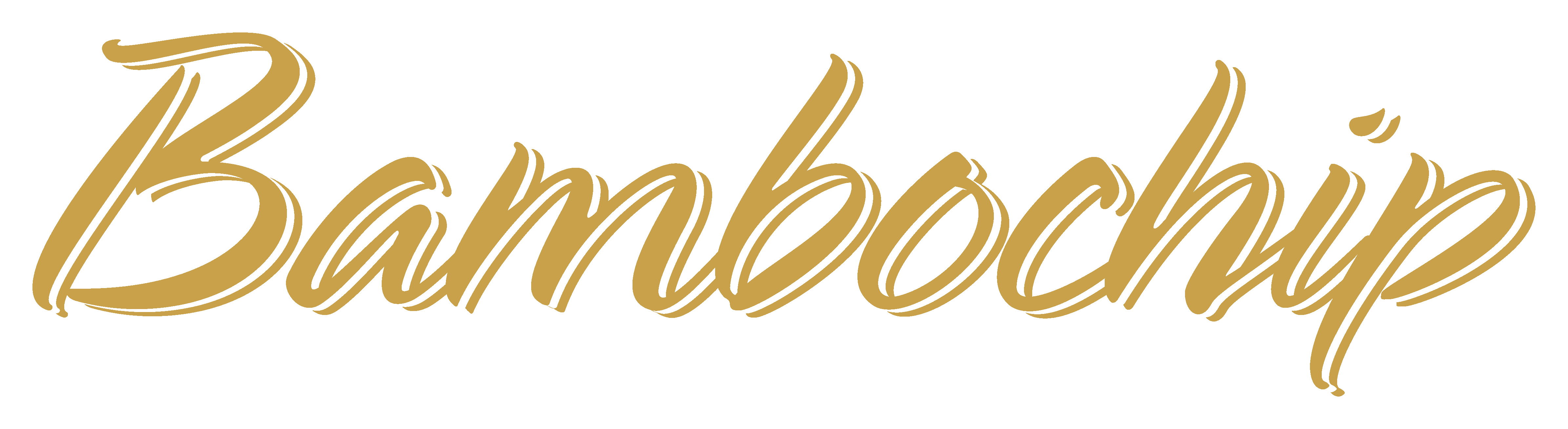 Bambochip